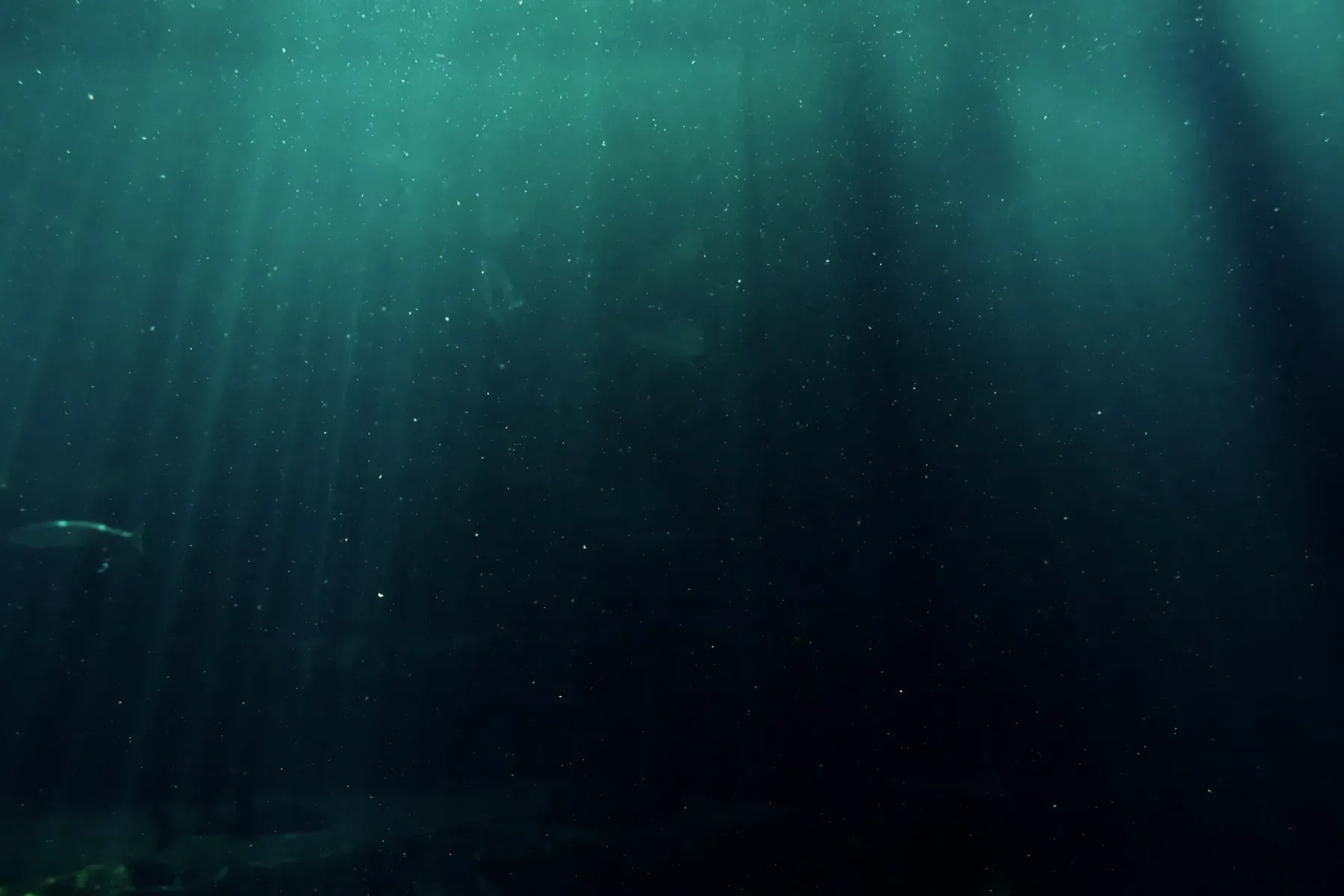 Deep water photographed from below the surface