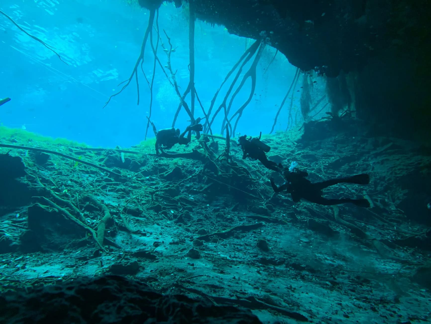 A diver beside an underwater rock formation