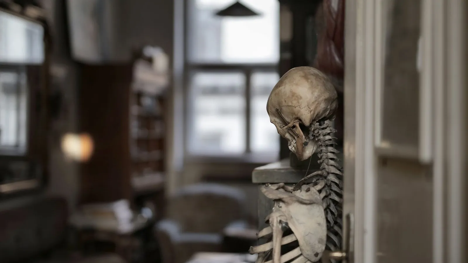 Human skeleton in selective focus leaning on wall with bowed head in dark old room of museum building