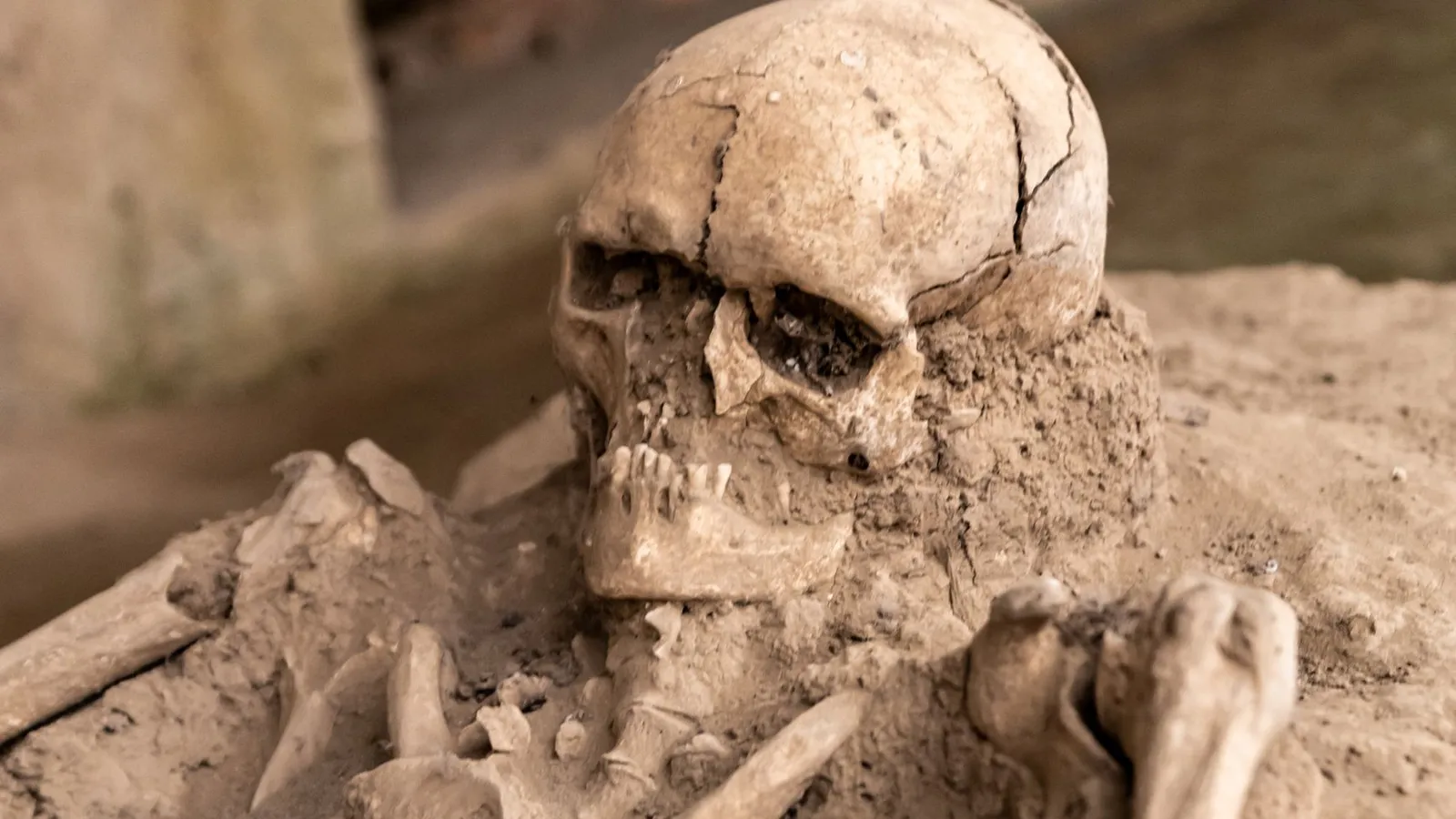 Close-up of an ancient Roman skeleton excavation site at Viminacium, Serbia.
