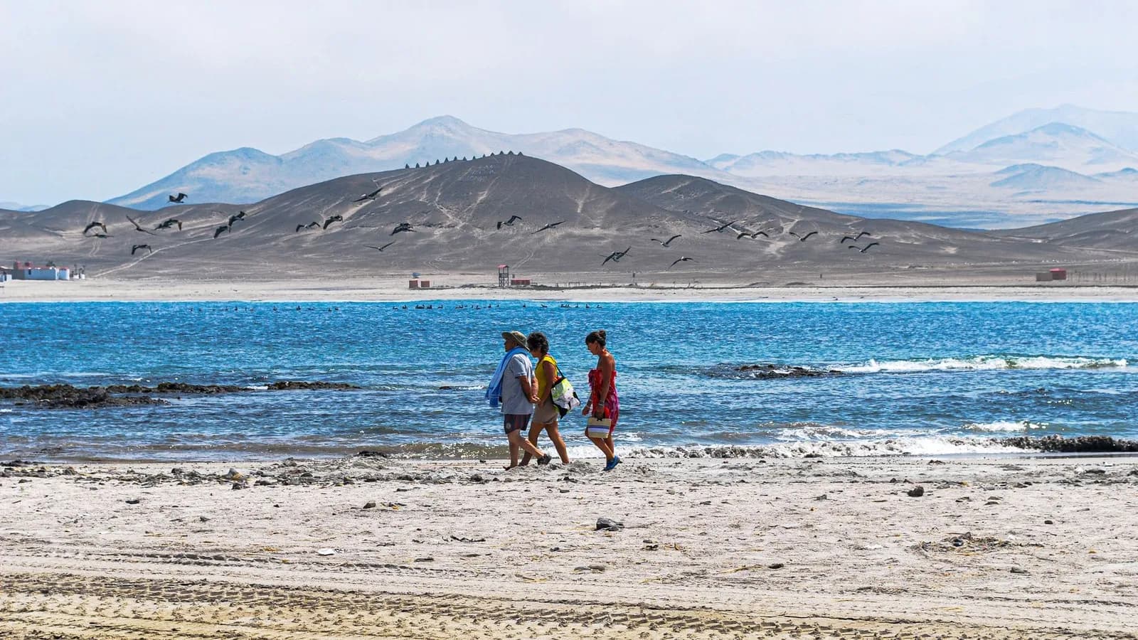A group strolling along the scenic Paracas beach with distant mountains and flying birds.