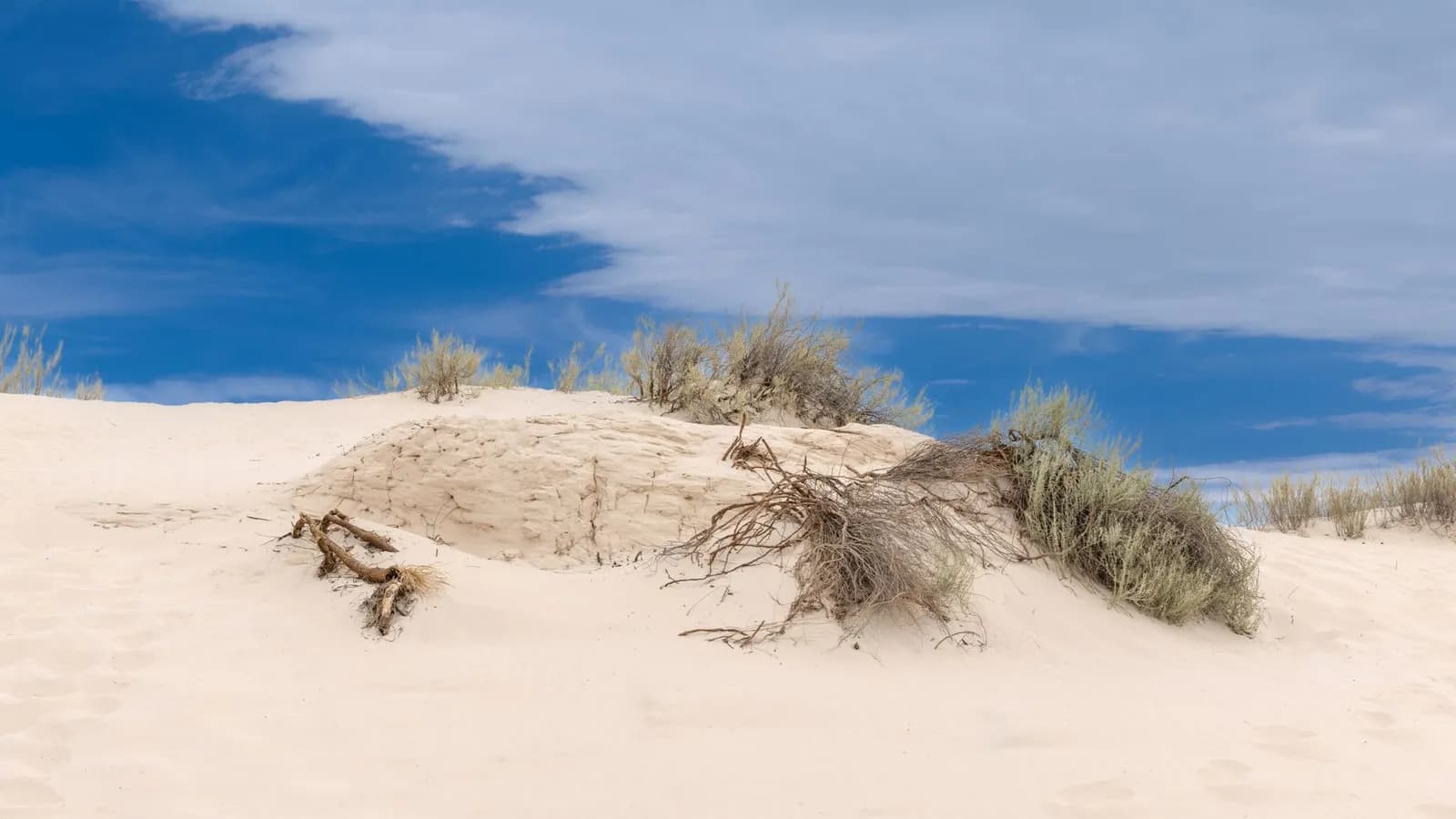 Serene view of sand dunes at White Sands, NM under a blue sky.