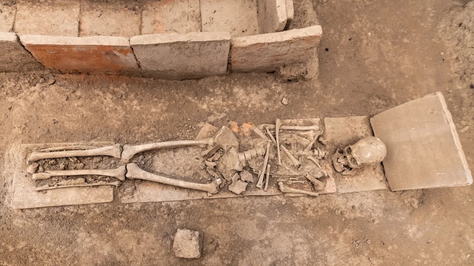 An archaeological excavation with a burial exposed in section