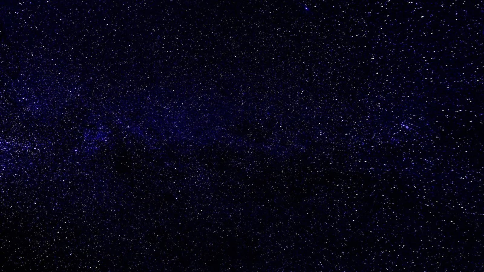A field of stars