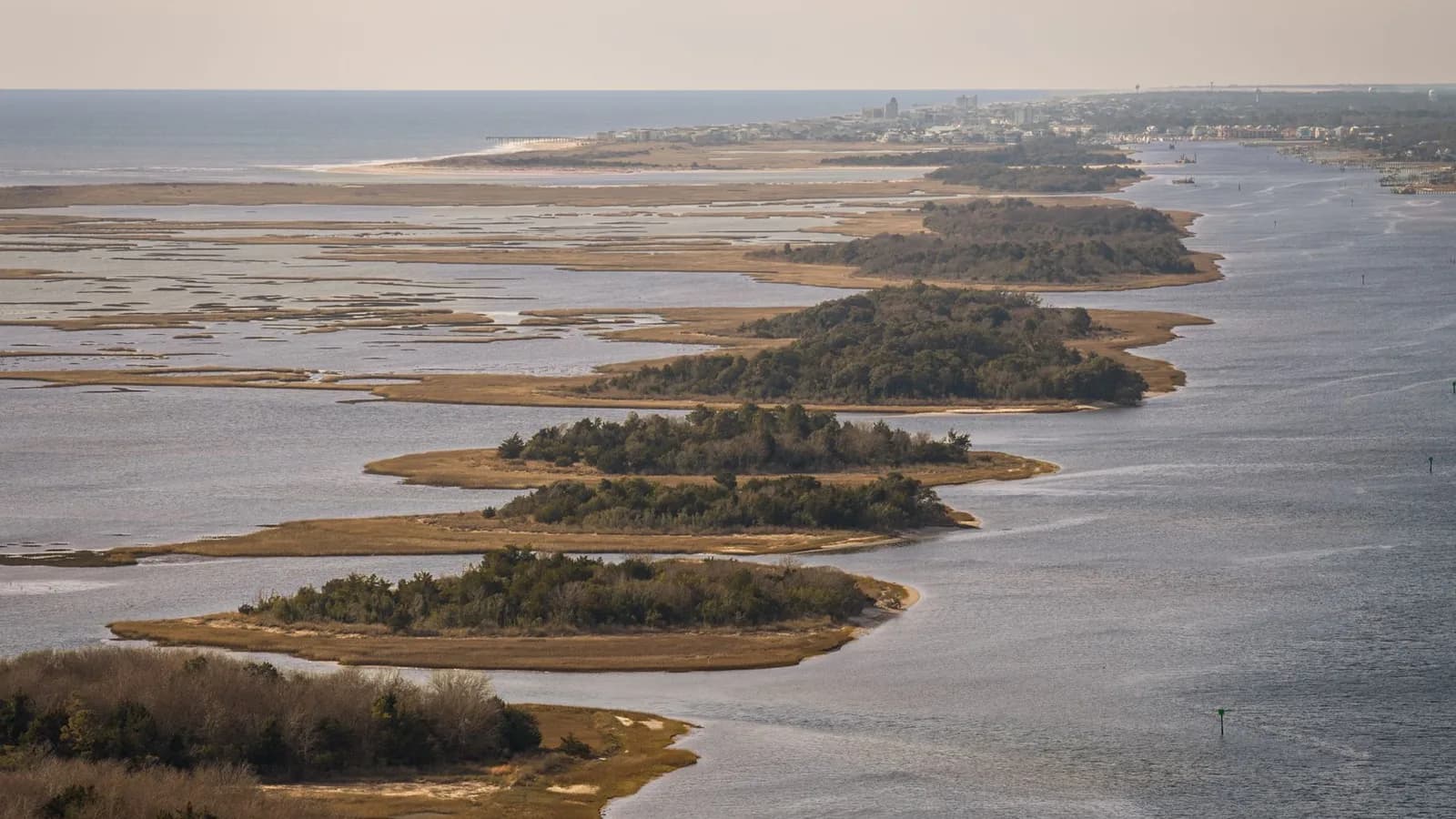 A wooded coastal shoreline
