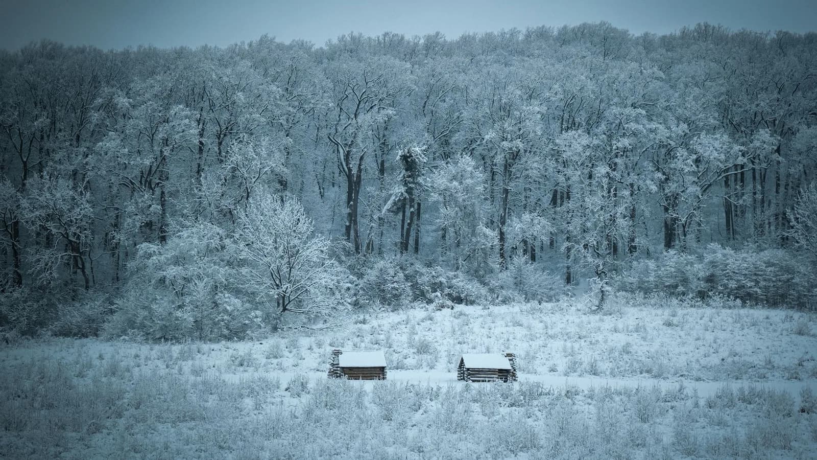 A cabin in winter woods