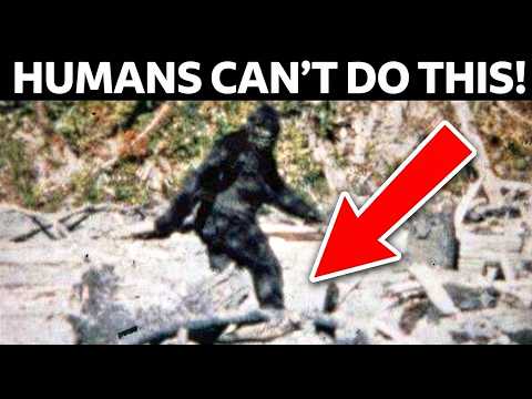 The IMPOSSIBLE Walk of the Patterson Gimlin Bigfoot Film