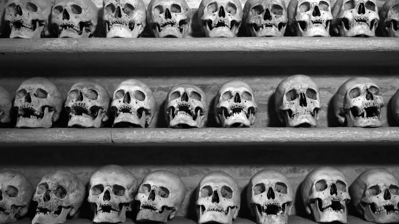 Row of skulls displayed on shelves, creating a haunting and ominous atmosphere.