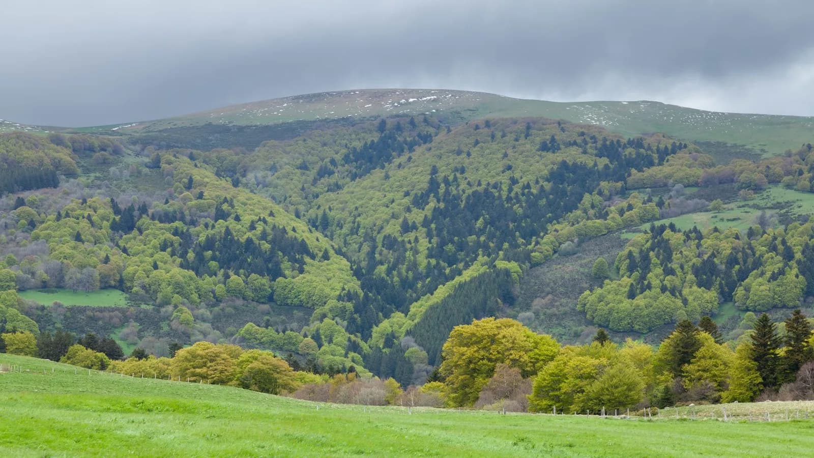 Remote wooded hills