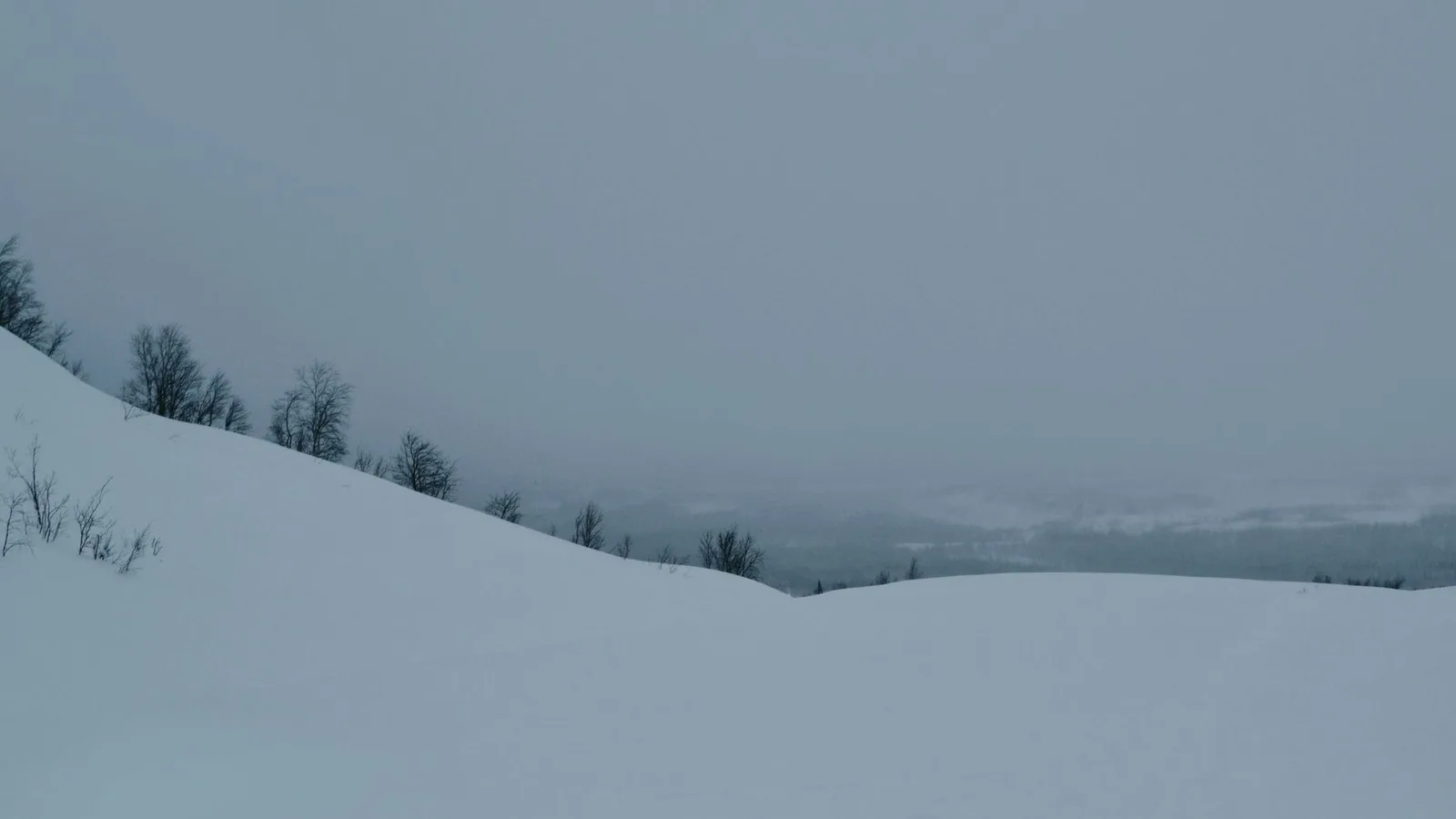 A bleak snow-covered slope
