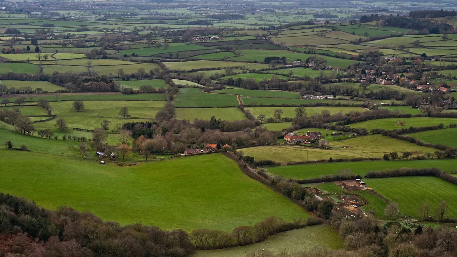 An aerial view of green fields and farmland