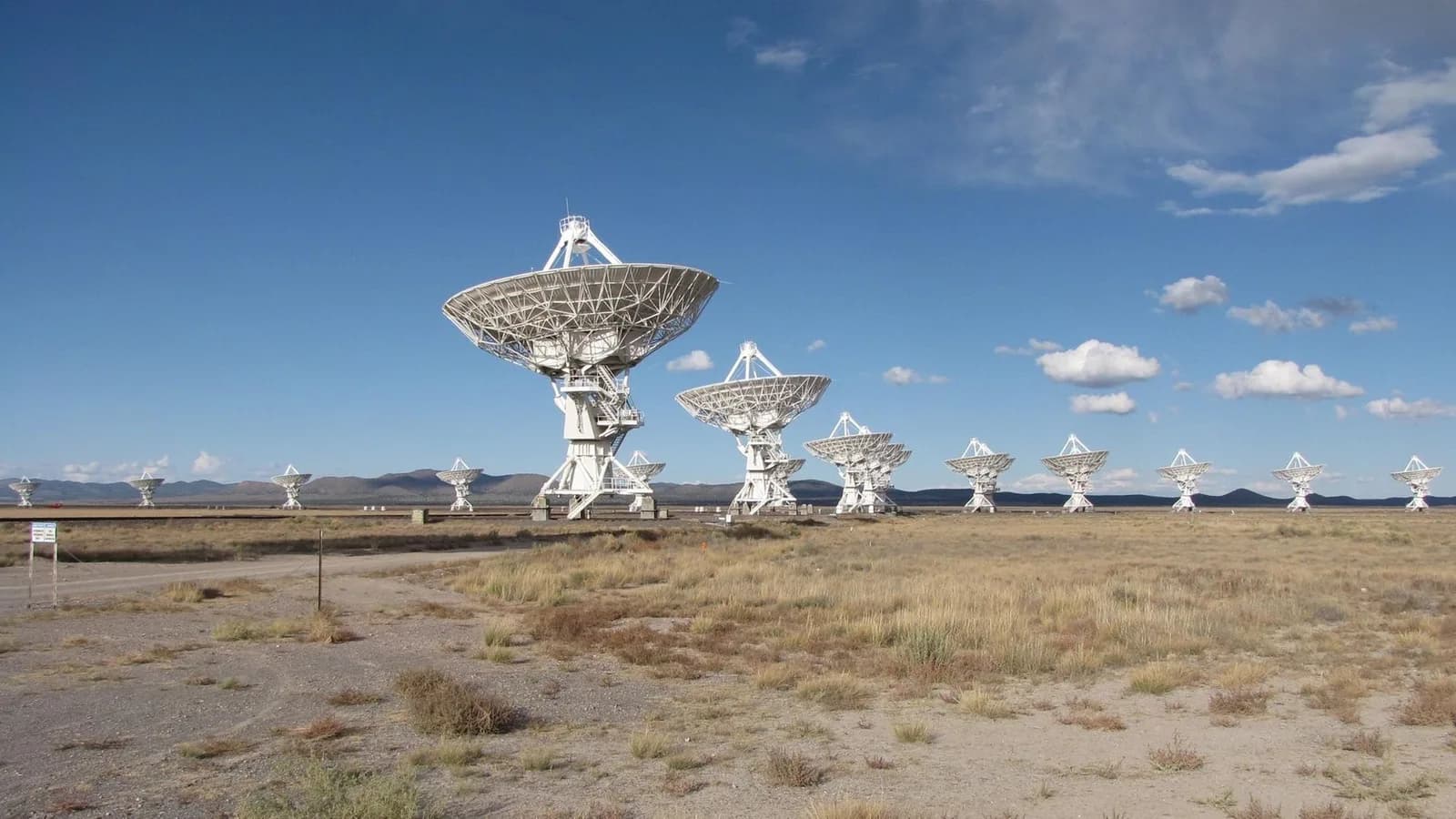 An array of radio antennas