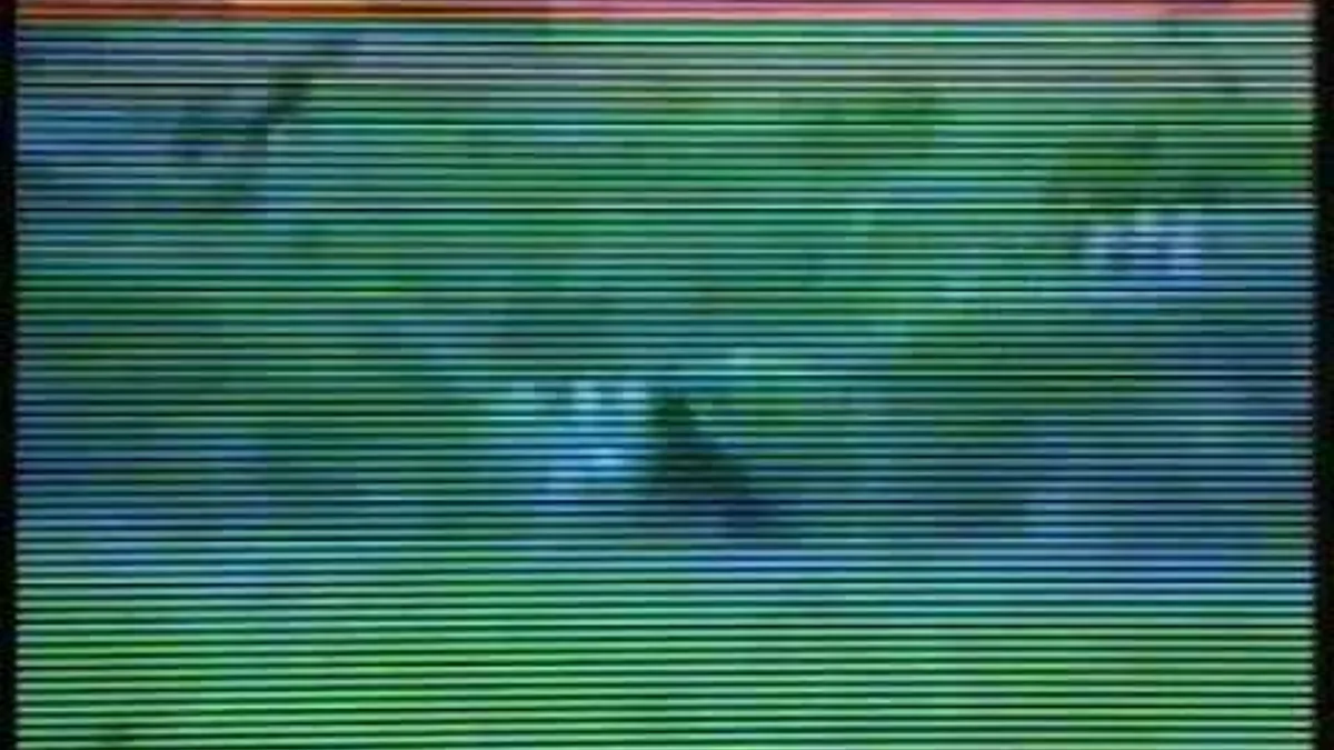 BBC News Beast of Bodmin reports - Broadcast 1995 BBC1 (UK)
